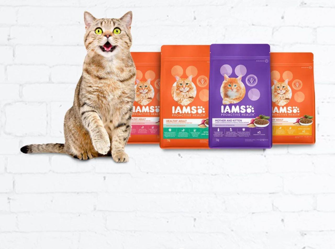 🐶 FREE IAMS Dog & Cat Food Sample in India – Get Premium Pet Food for Just ₹1 (Limited Offer)